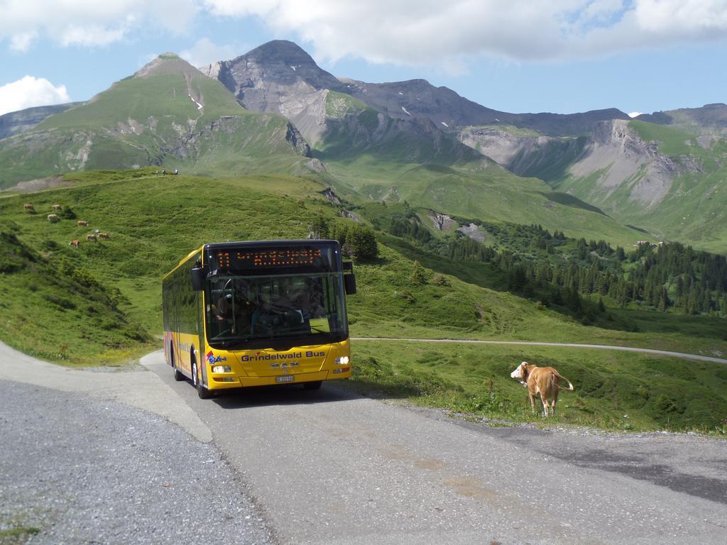 Altogold Swiss Holidays At Manor Farm 5*